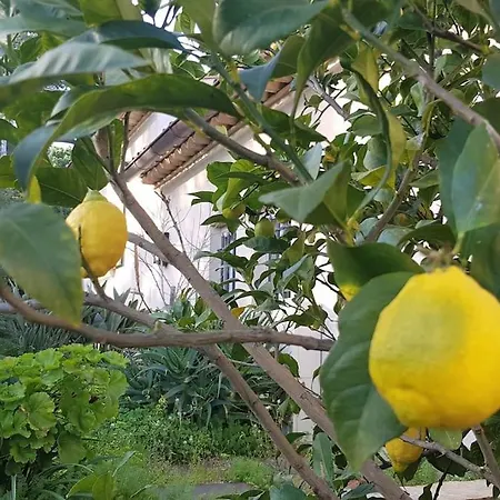 Maison Les Marres St-tropez / Ramatuelle