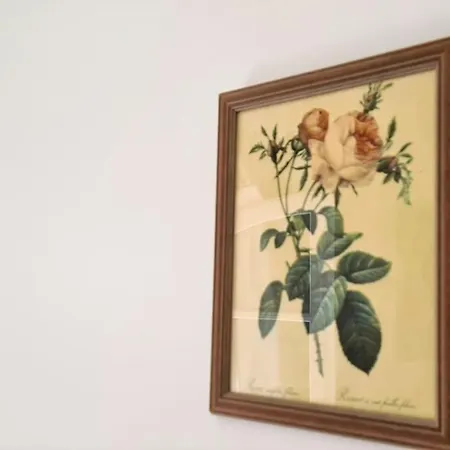 Maison Les Marres St-tropez / Ramatuelle