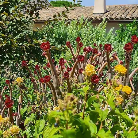 Appartement Maison Les Marres St-tropez / Ramatuelle *