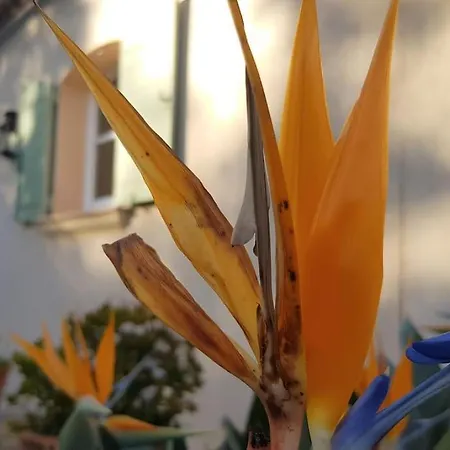 Maison Les Marres St-tropez / Ramatuelle *