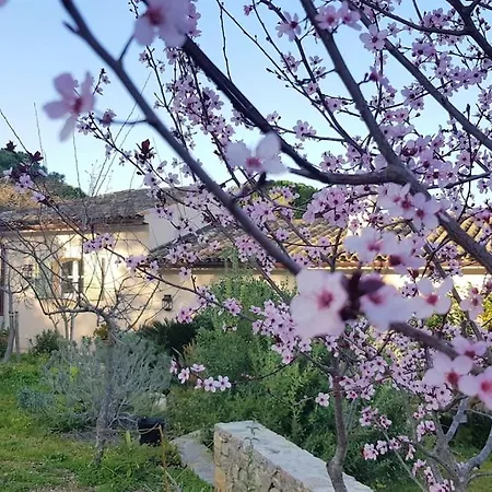 شقة Maison Les Marres St-tropez / Ramatuelle *