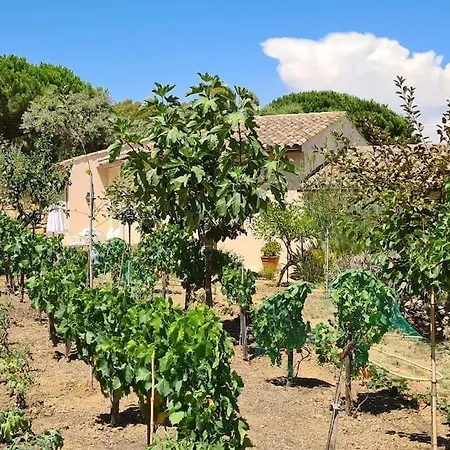 Maison Les Marres St-tropez / Ramatuelle * Saint-Tropez